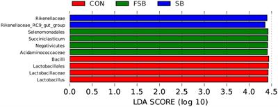 Effects of replacing hybrid giant napier with sugarcane bagasse and fermented sugarcane bagasse on growth performance, nutrient digestibility, rumen fermentation characteristics, and rumen microorganisms of Simmental crossbred cattle